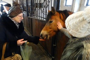 Государственная резиденция Залесье